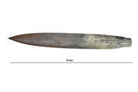 Neohibolites waldismilis